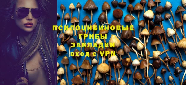 apvp Аркадак