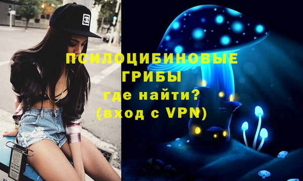 тгк Армянск